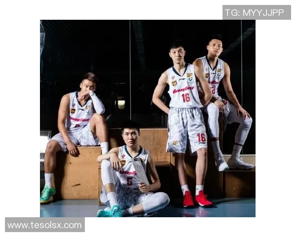 CBA各球队赛季表现深度解读与关键数据趋势分析报告 CBA各球队赛季表现深度解读与关键数据趋势分析报告